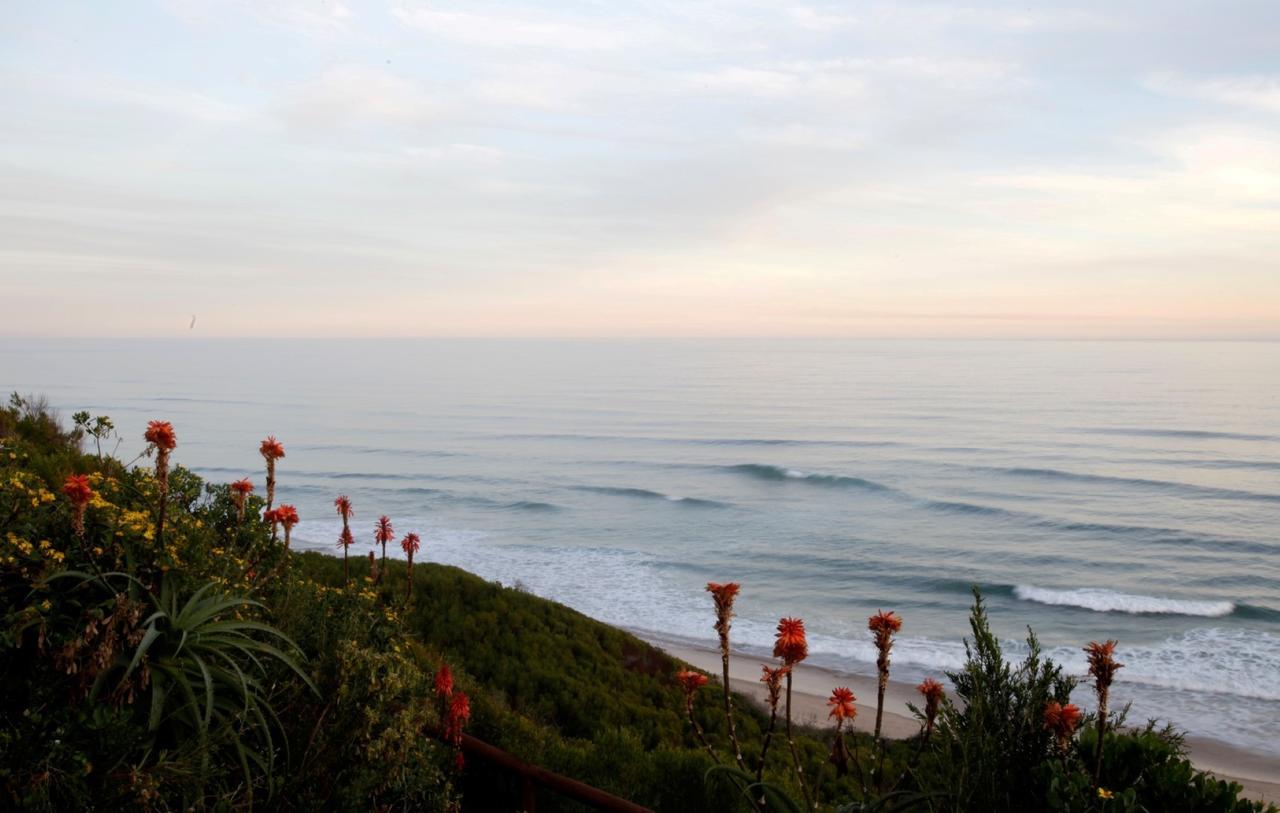 Dolphin Dunes Guesthouse Wilderness Exterior foto